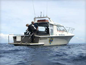 dive charter