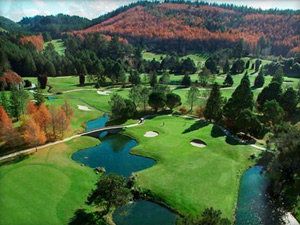 New Zealand golf tours